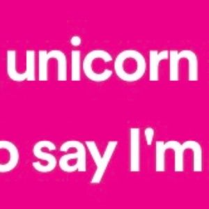 Meet your Posher, Sammy